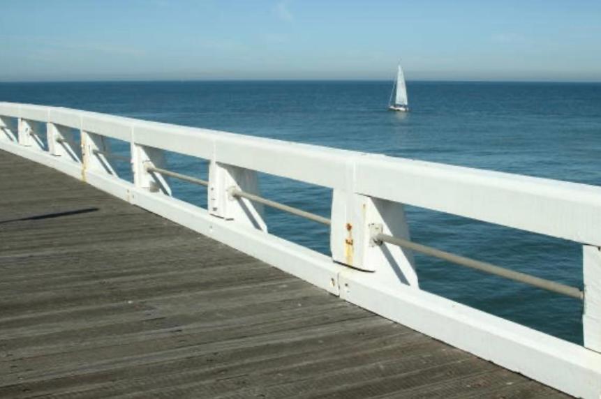 La Mouette C2